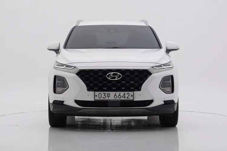 Hyundai Santa Fe TM D 1