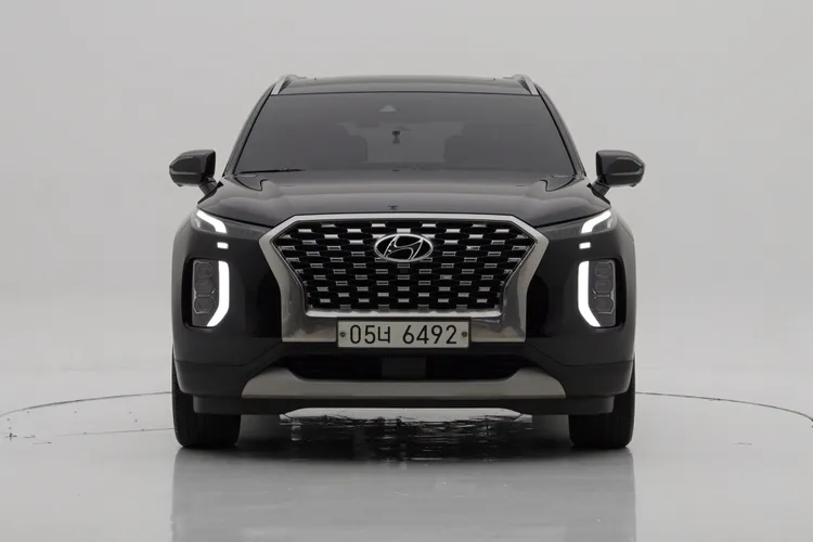 Hyundai Palisade D 1