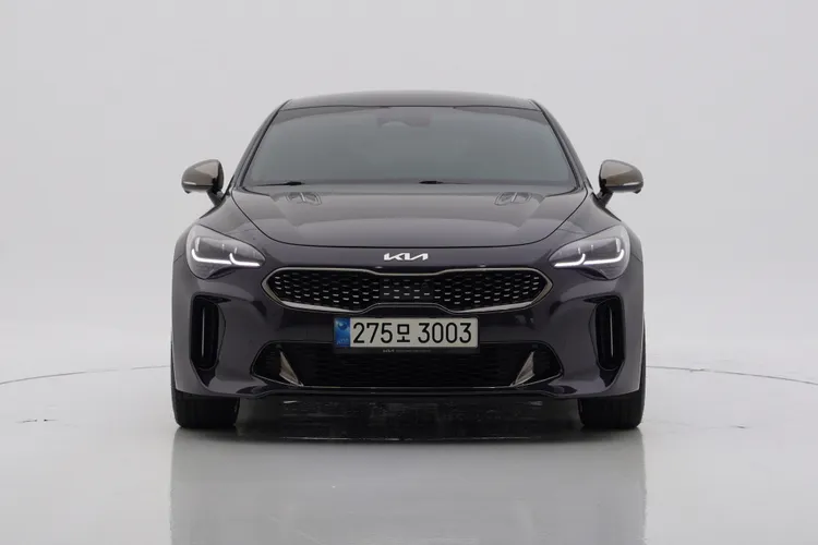 Kia Stinger Meister G 1