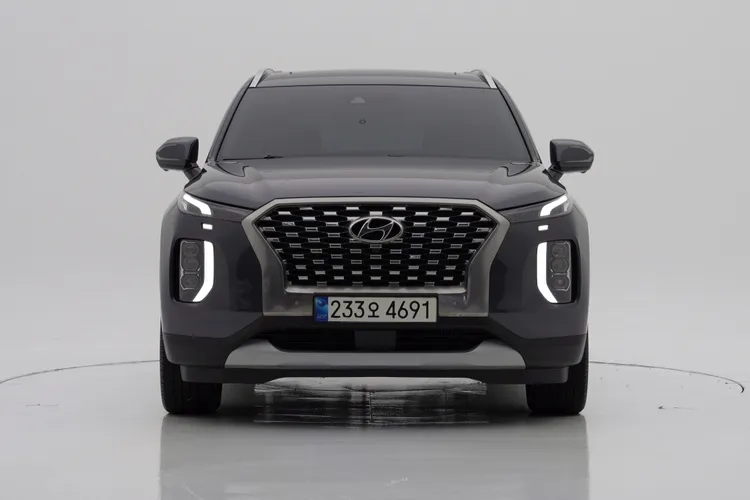 Hyundai Palisade D 1